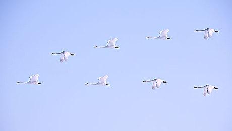 中式民俗恐怖游戏《过阴》4月3日开启试玩